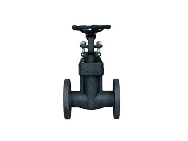 WZ41H鍛鋼波紋管閘閥